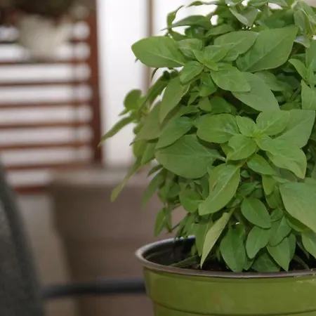 דירה Sea-view Modern - 4 Guests - Kitchen