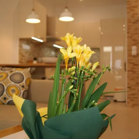 Sea-view Modern - 4 Guests - Kitchen Lägenhet